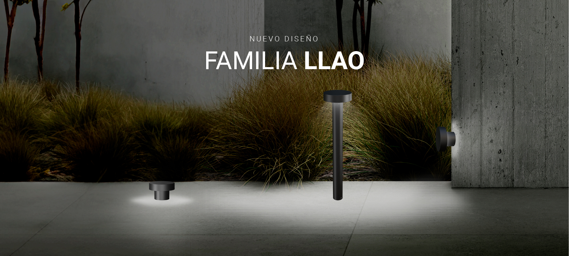 Familia llao